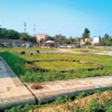 Circuit House,Cuttack 호텔 외부 사진